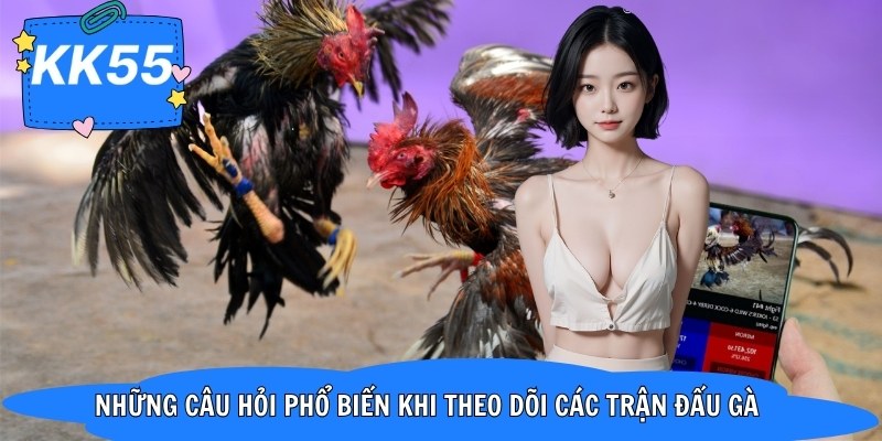 Những câu hỏi phổ biến khi theo dõi các trận đấu gà