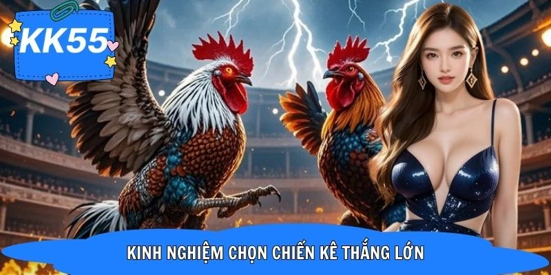 Những mẹo chọn đội cá cược cực chuẩn cho newbie