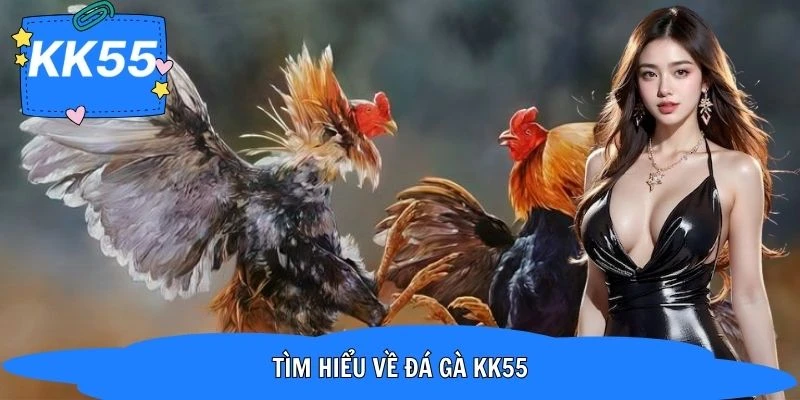 Vài nét về sảnh giải trí cá cược đá gà KK55 online