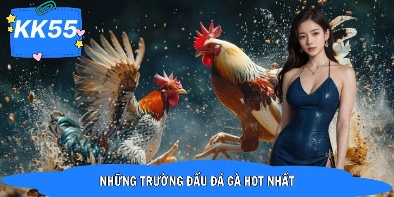 Tổng hợp các trường đấu chiến kê chuyên nghiệp 2026